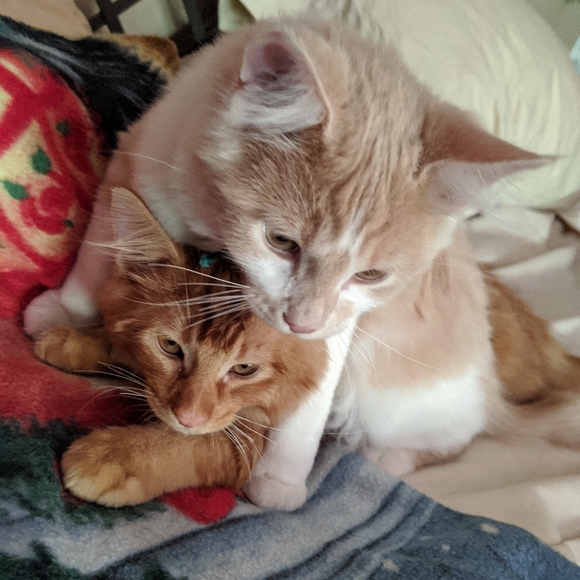 Lamp Cheap - Picture 6 of 8